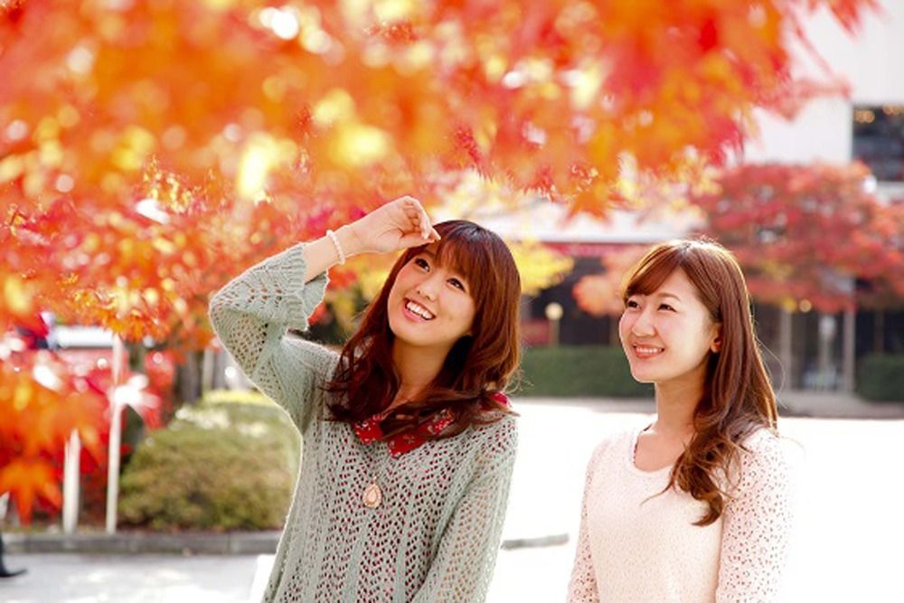 فندق تاكاياما جرين المظهر الخارجي الصورة Hanbok University